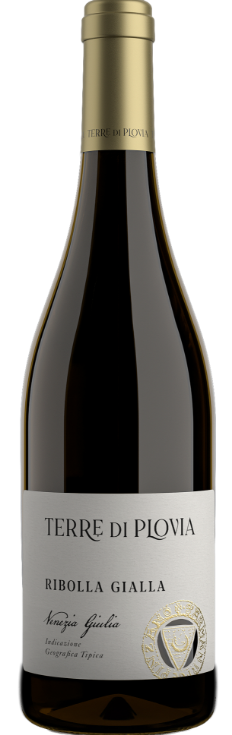 Ribolla Gialla