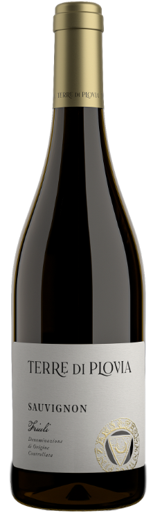 Sauvignon