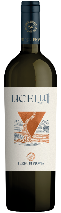 Ucelut